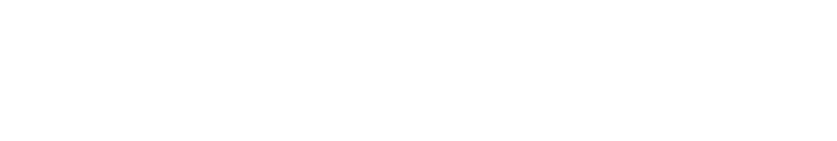 ecometric